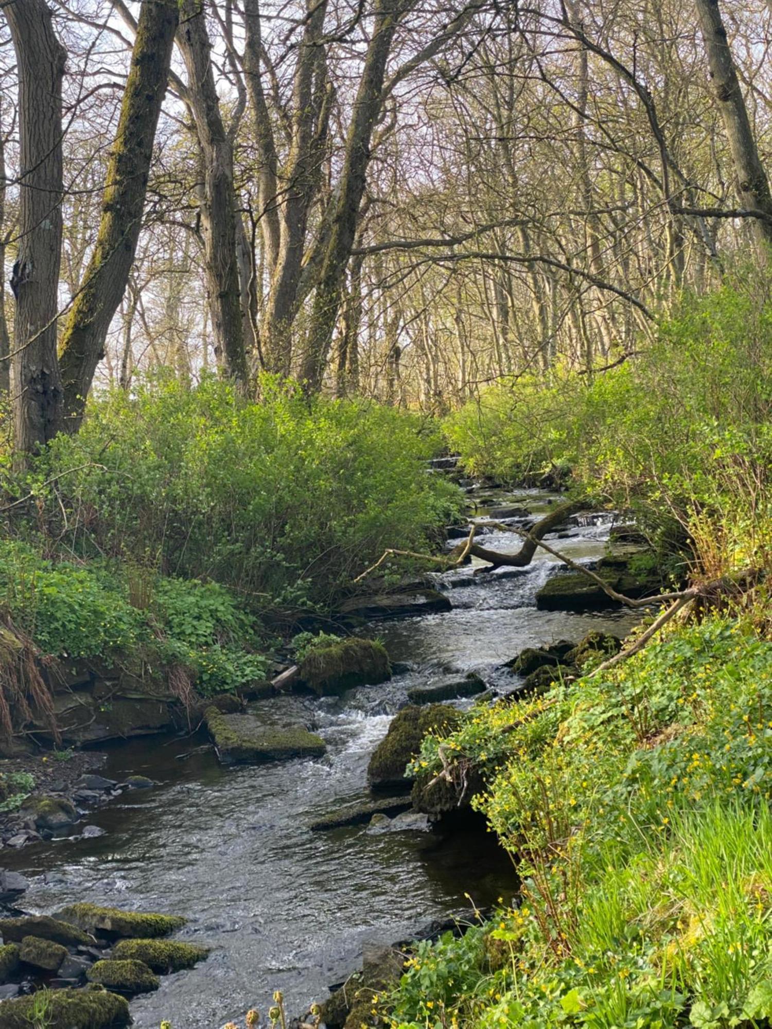 Forse Of Nature Latheron Exteriér fotografie